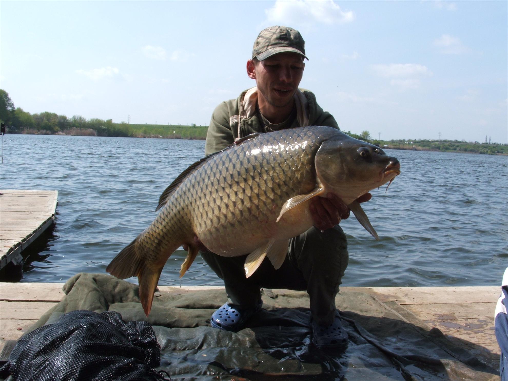 Foto dulapi - dscf0500.JPG